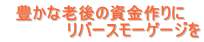 　豊かな老後の資金作りに             リバースモーゲージを